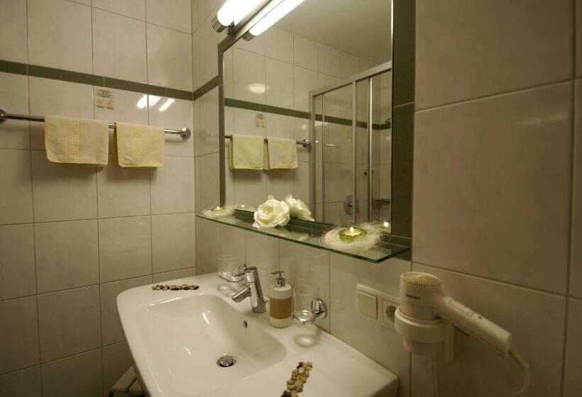 Номер Стандарт Индивидуальный, All Inclusive Hotel Bachmayerhof