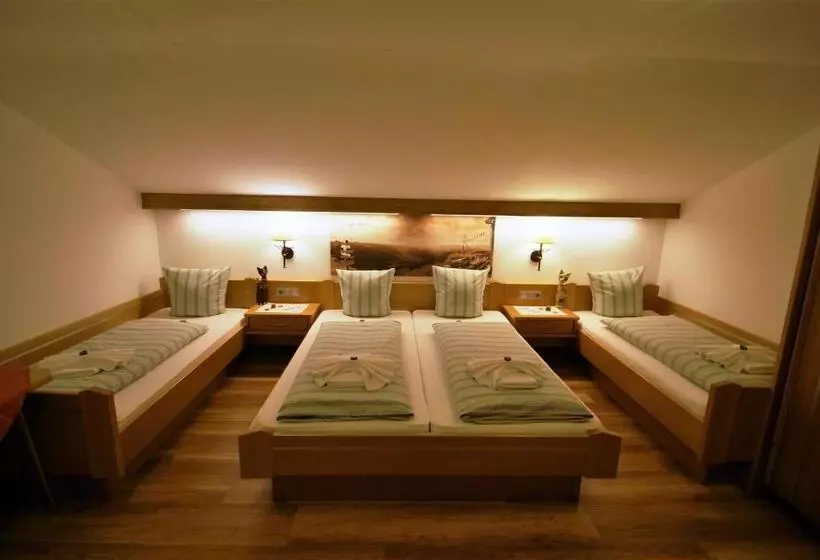 バルコニー付スタンダード４ベッドルーム, All Inclusive Hotel Bachmayerhof