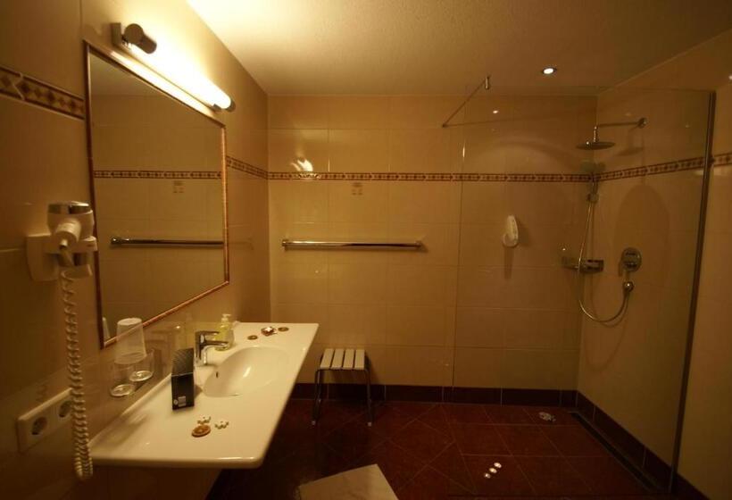 Номер Стандарт с Балконом, All Inclusive Hotel Bachmayerhof