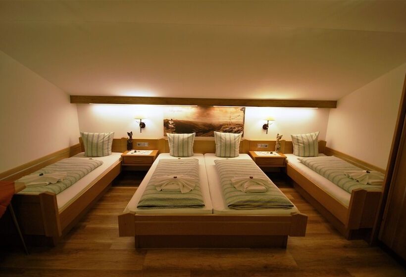 Четырехместный Номер Стандарт с Балконом, All Inclusive Hotel Bachmayerhof