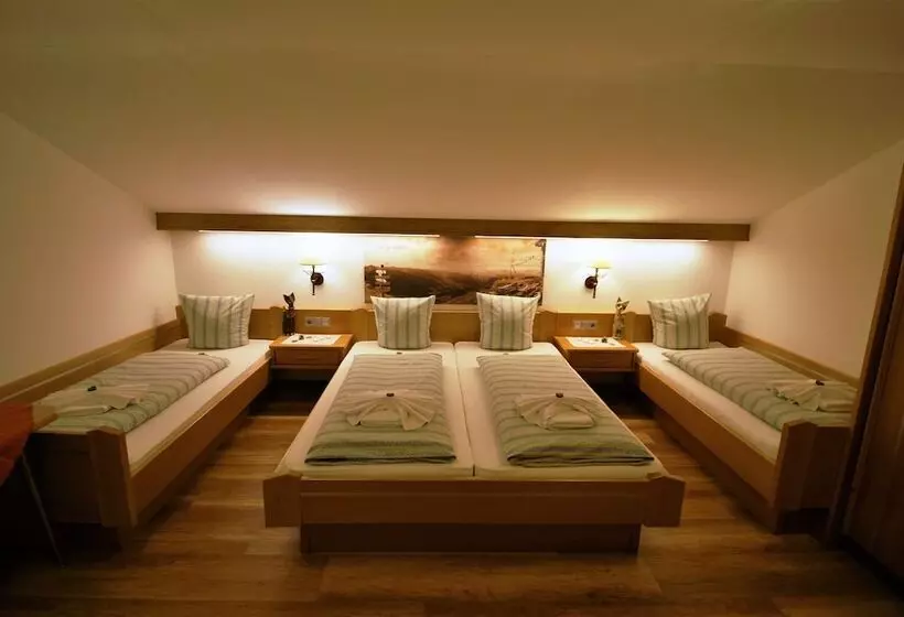 バルコニー付スタンダード４ベッドルーム, All Inclusive Hotel Bachmayerhof