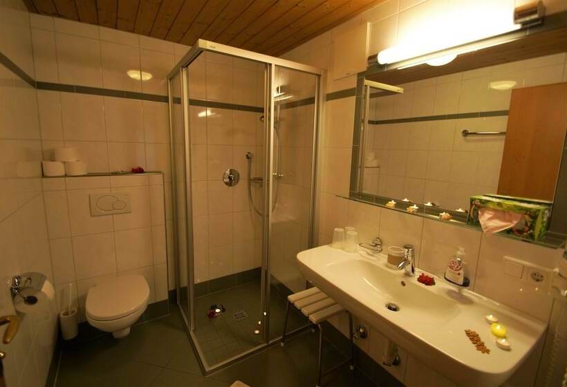 Номер Стандарт, All Inclusive Hotel Bachmayerhof