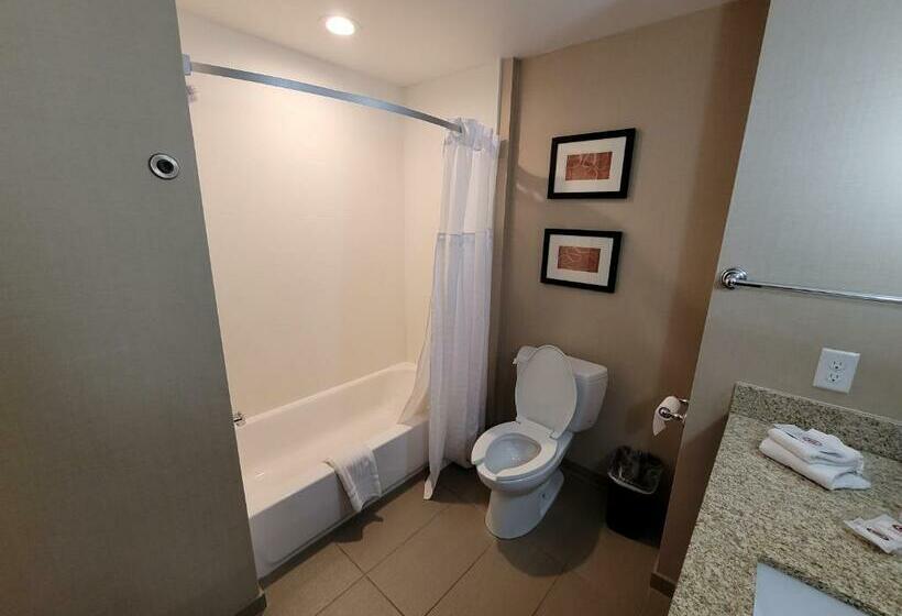 스위트, Comfort Suites Kanab National Park Area