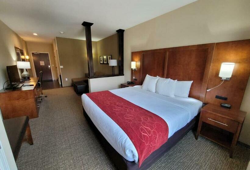 适合残疾人士使用的套间, Comfort Suites Kanab National Park Area