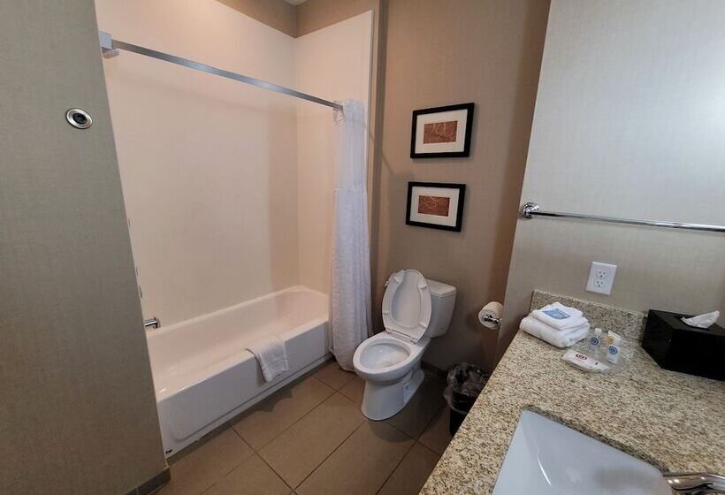 스탠다드 룸, Comfort Suites Kanab National Park Area