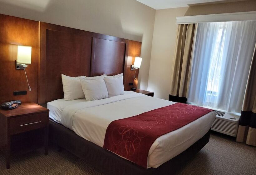 장애인을 위한 스위트, Comfort Suites Kanab National Park Area