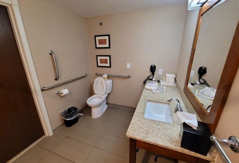 适合残疾人士使用的套间, Comfort Suites Kanab National Park Area