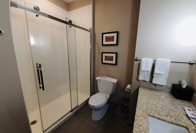 Standard-huone, Comfort Suites Kanab National Park Area