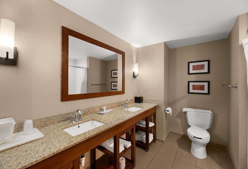 스탠다드 룸, Comfort Suites Kanab National Park Area