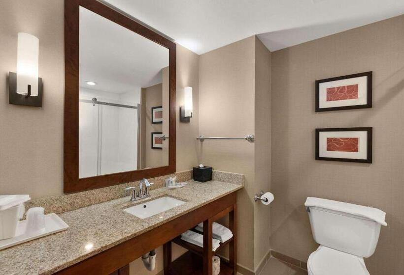 스위트 킹사이즈 침대, Comfort Suites Kanab National Park Area