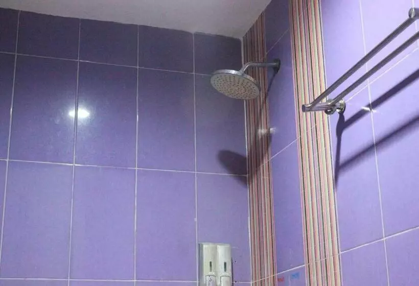 Camera Standard, Dalu