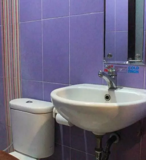 Camera Standard, Dalu