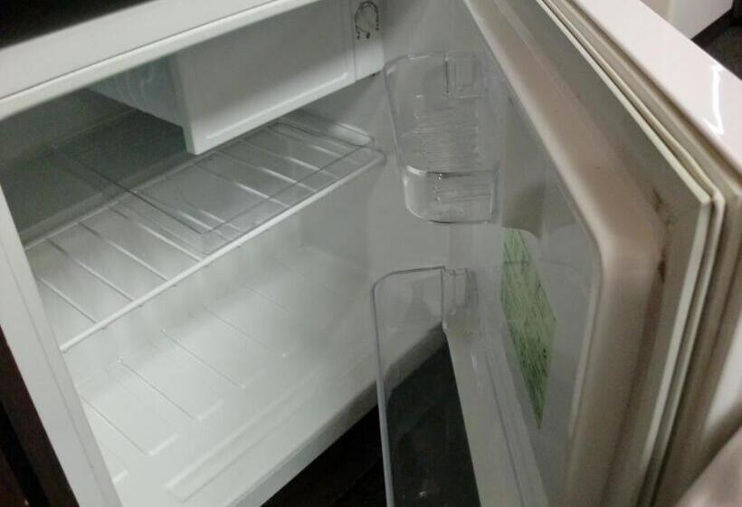 חדר סטנדרט יחיד, Green Rich Hotel Suizenji