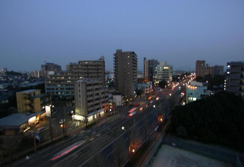 חדר סטנדרט יחיד, Green Rich Hotel Suizenji