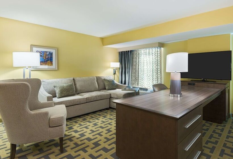 Люкс Адаптированный для Инвалидов, Hampton Inn & Suites Tampa Airport Avion Park Westshore