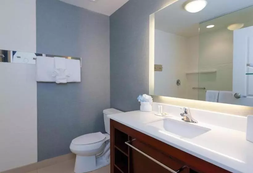 キングサイドベッドのスタンダードワンルーム, Residence Inn By Marriott Philadelphia Great Valley/malvern