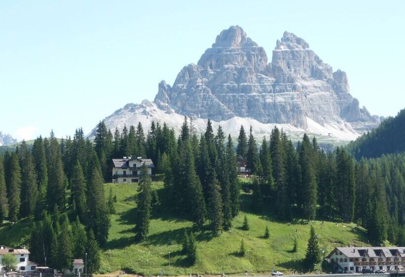 Номер Стандарт, Sorapiss