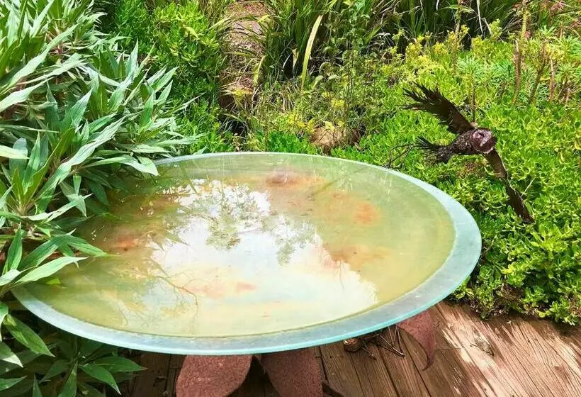 キャビン, Sutton Spring Art Retreats