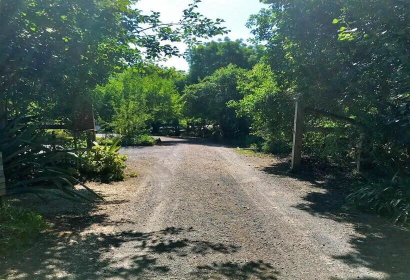 キャビン, Sutton Spring Art Retreats