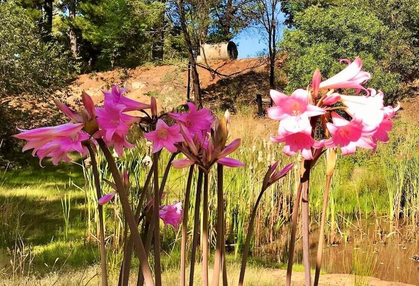 キャビン, Sutton Spring Art Retreats