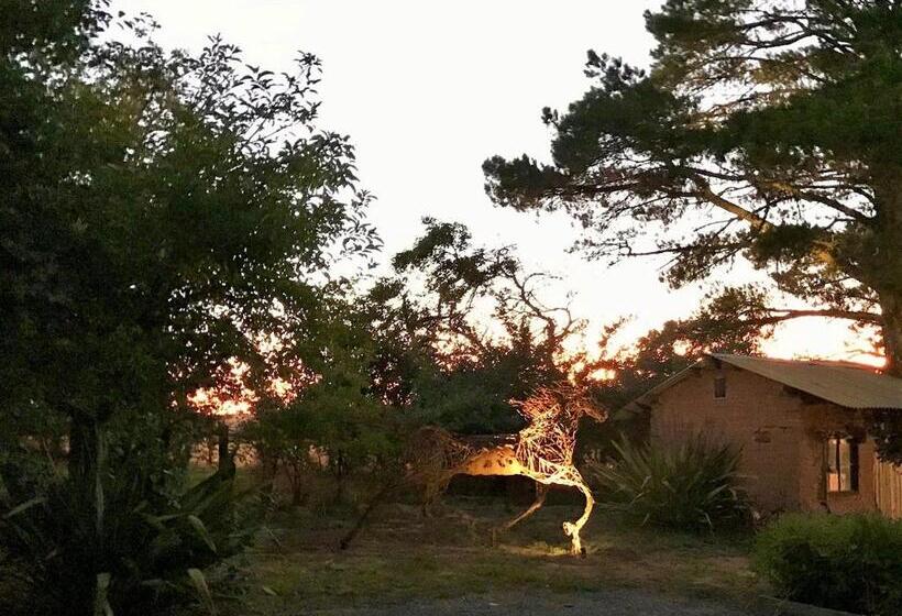 キャビン, Sutton Spring Art Retreats