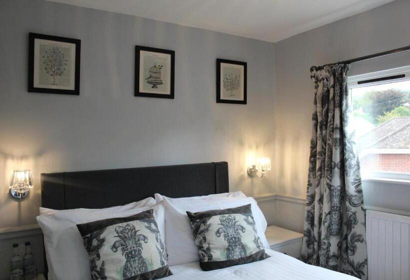 ベーシックルーム, The Mount Pleasant