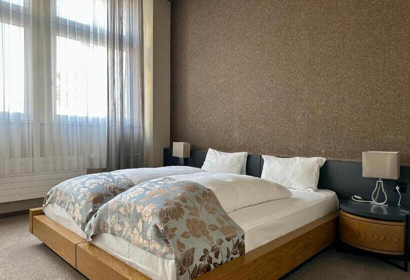 غرفة ديلوكس, Plaza Hotel Winterthur