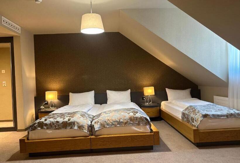 غرفة عائلية, Plaza Hotel Winterthur