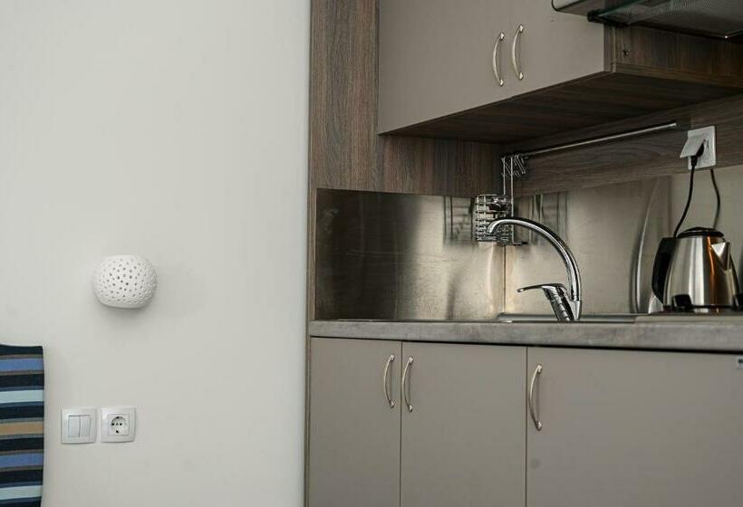 غرفة قياسية, Parthenon Art Executive Wing