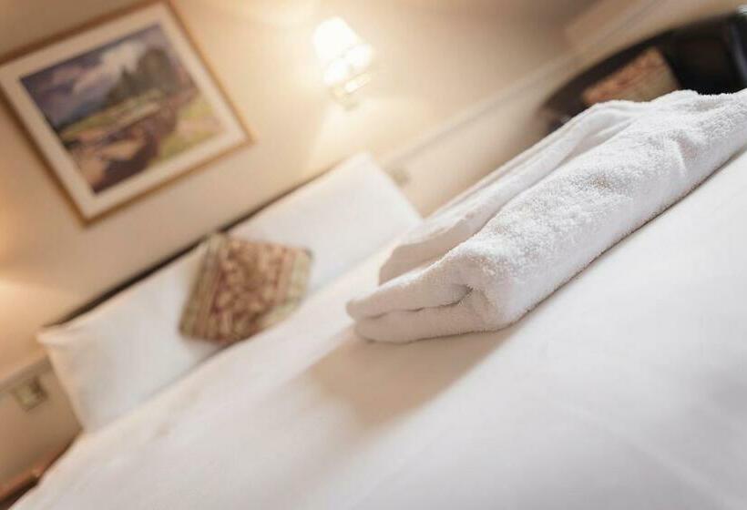 اتاق استاندارد چهار تخته, Elder York Guest House