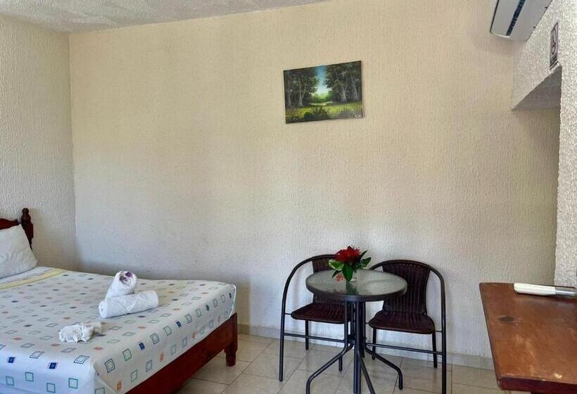 スタンダードルーム, Bigu