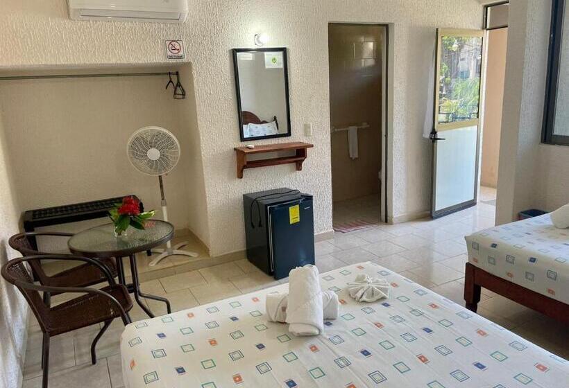 スタンダードルーム, Bigu