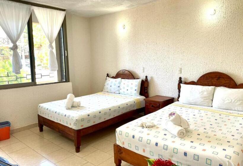 スタンダードルーム, Bigu