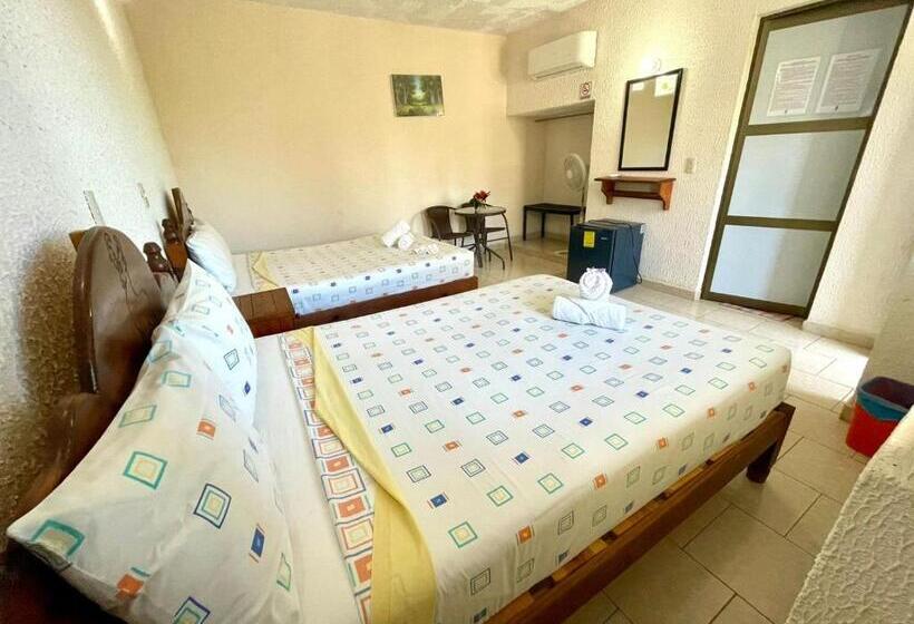 スタンダードルーム, Bigu