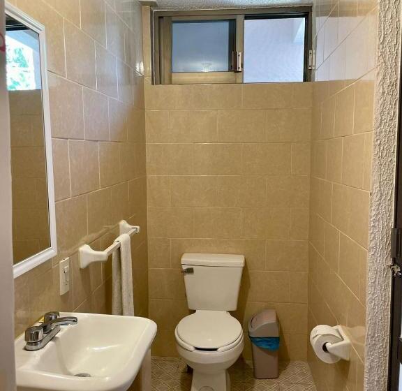 スタンダードルーム, Bigu