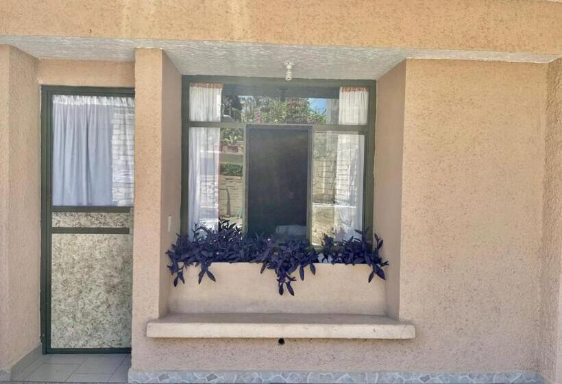 キングサイズベッドのスタンダードルーム, Bigu