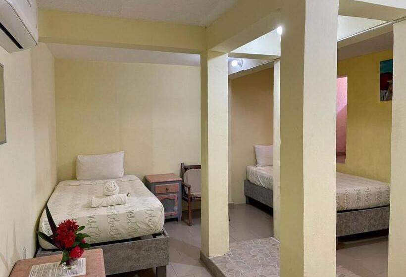 スタンダード４人部屋, Bigu