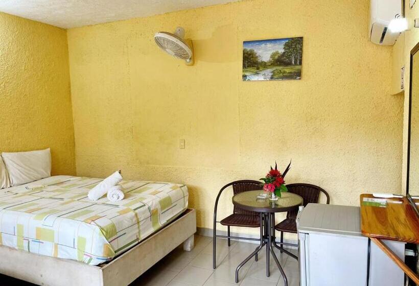 スタンダードルーム, Bigu