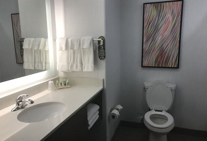 غرفة قياسية لذوى الاحتياجات الخاصة, Holiday Inn Abilene   North College Area, An Ihg