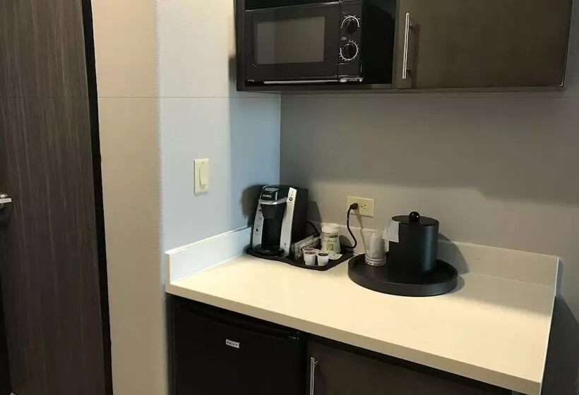 身障者適用スタンダードルーム, Holiday Inn Abilene   North College Area, An Ihg
