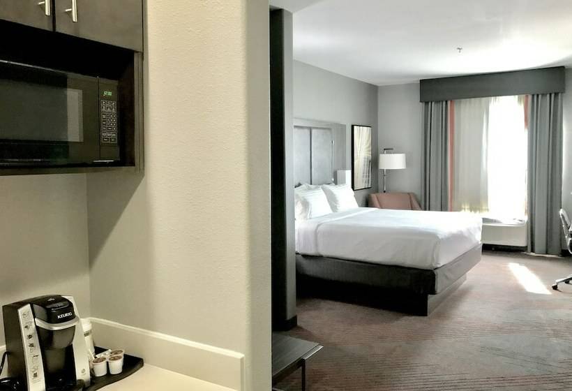 غرفة قياسية, Holiday Inn Abilene   North College Area, An Ihg