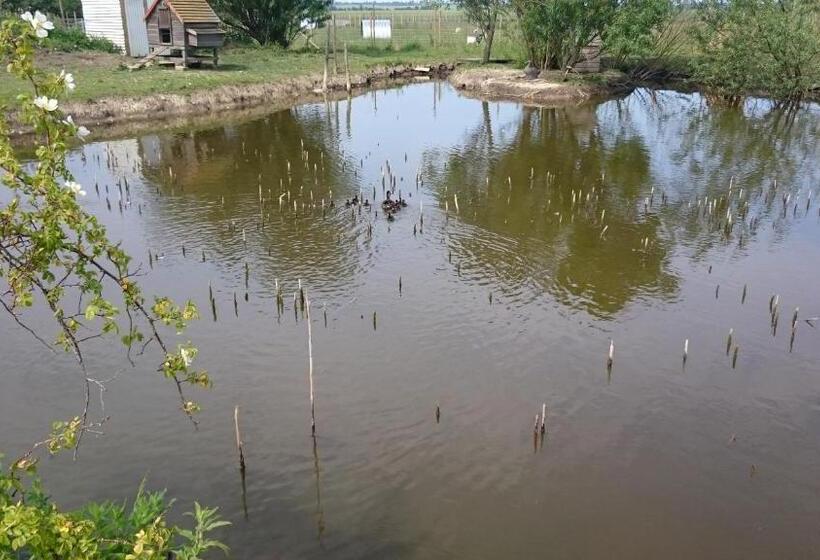 豪华房间, Pidley Bottom Cottages Luxury Sc Rooms Fully Furnished And Equipped Kitchen Towels And Linen