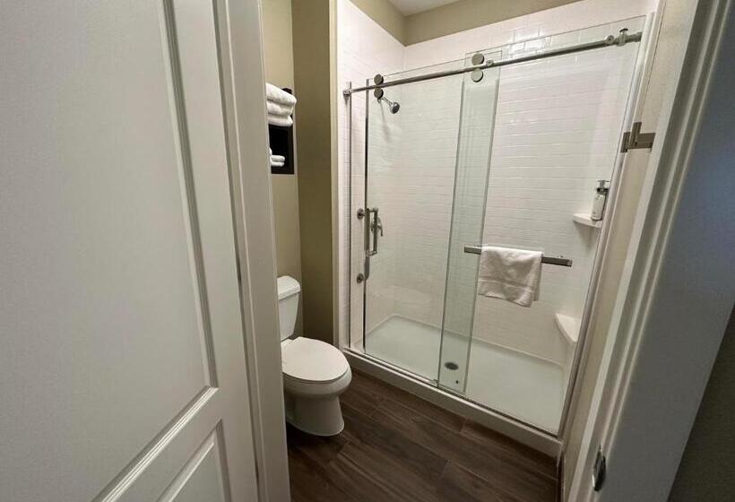 带大床的标准工作室, Staybridge Suites Anaheim At The Park, An Ihg