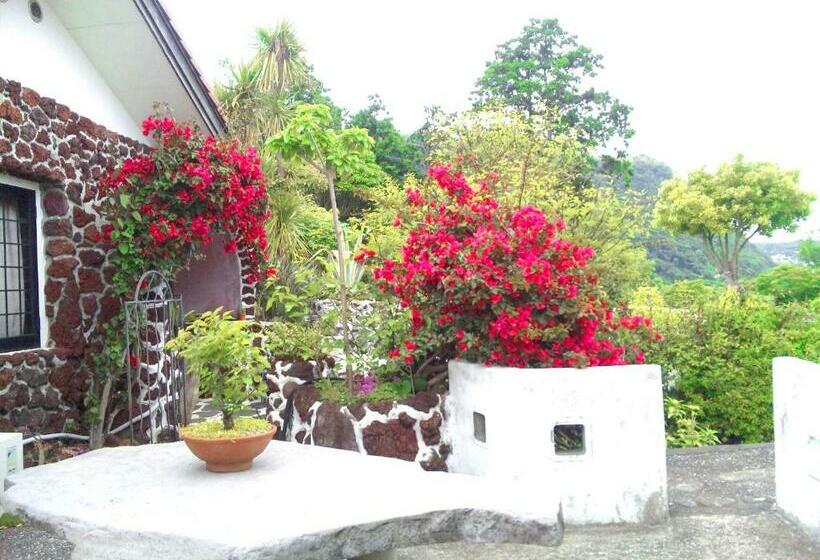 Номер Стандарт, Jgarden