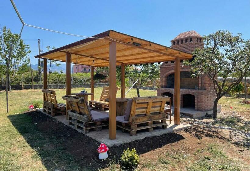 Quarto Triplo Standart, Ballkan