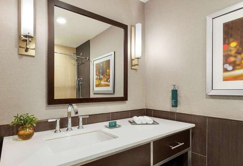 חדר דחוקס עם מיטת קינג, The Bankers Alley Hotel Nashville, Tapestry Collection By Hilton