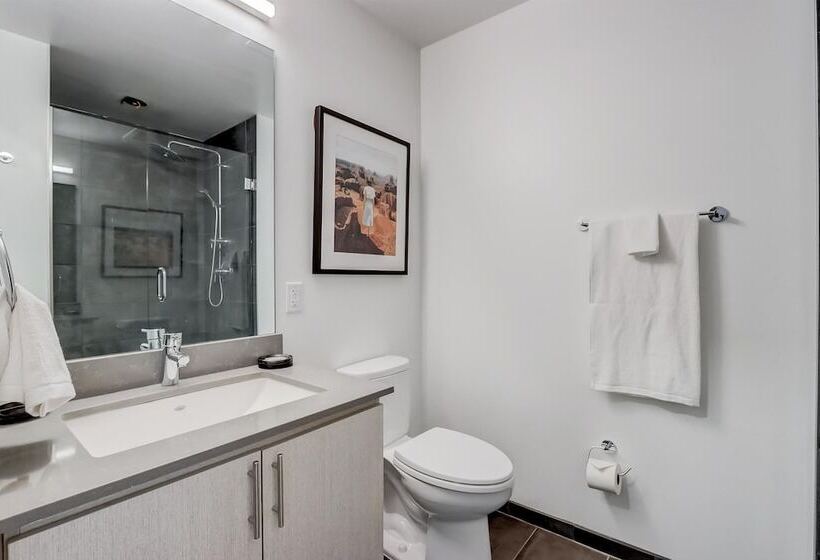 استودیوی استاندارد, Kenect Phoenix