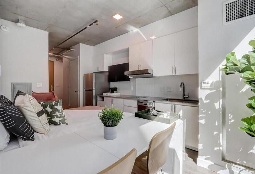 استودیوی استاندارد, Kenect Phoenix