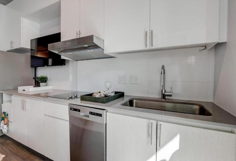 استودیوی استاندارد, Kenect Phoenix