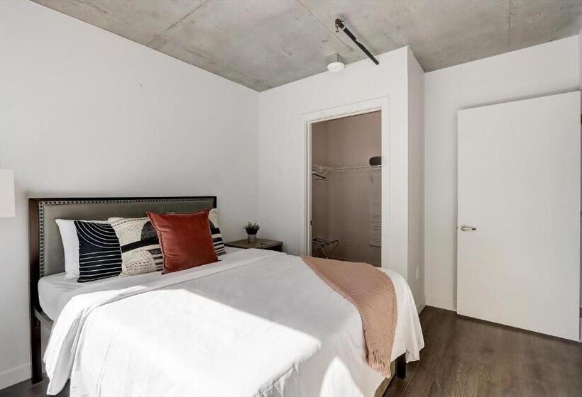 آپارتمان سوپریور 1 خوابه, Kenect Phoenix